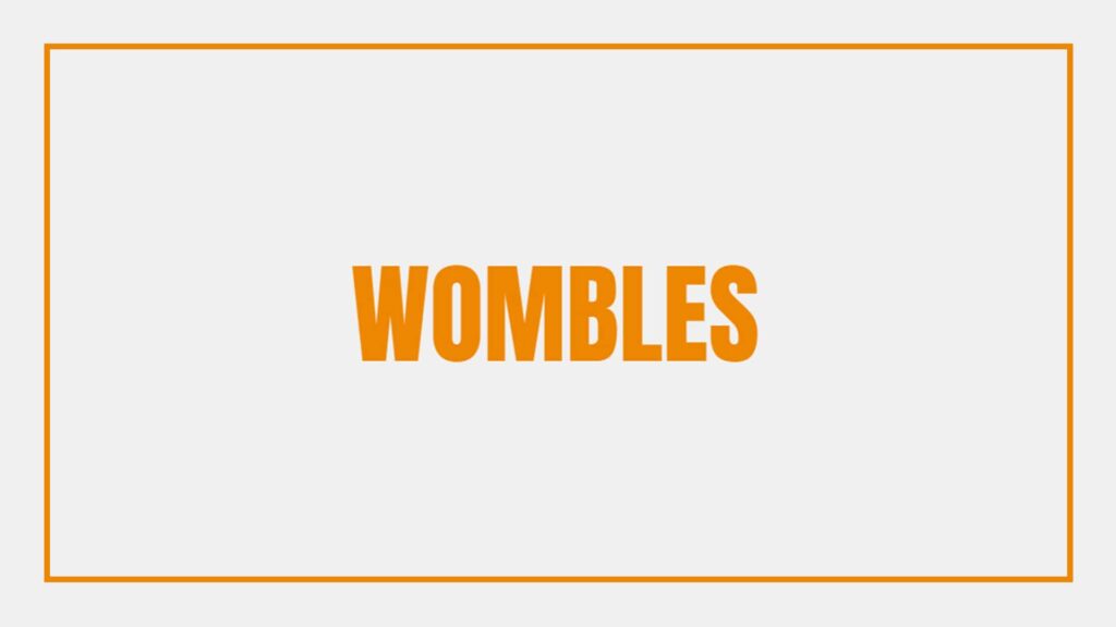 wombles-man-and-van-movers-clearances