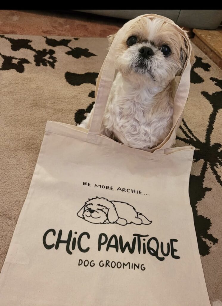 chic pawtique banner
