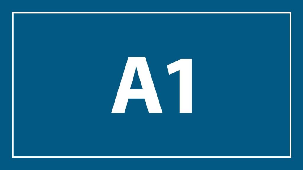 a1-car-valet-services-logo