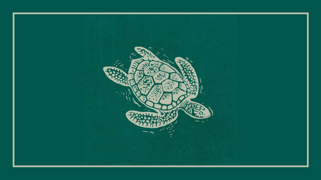 turtle-bay-newcastle-logo