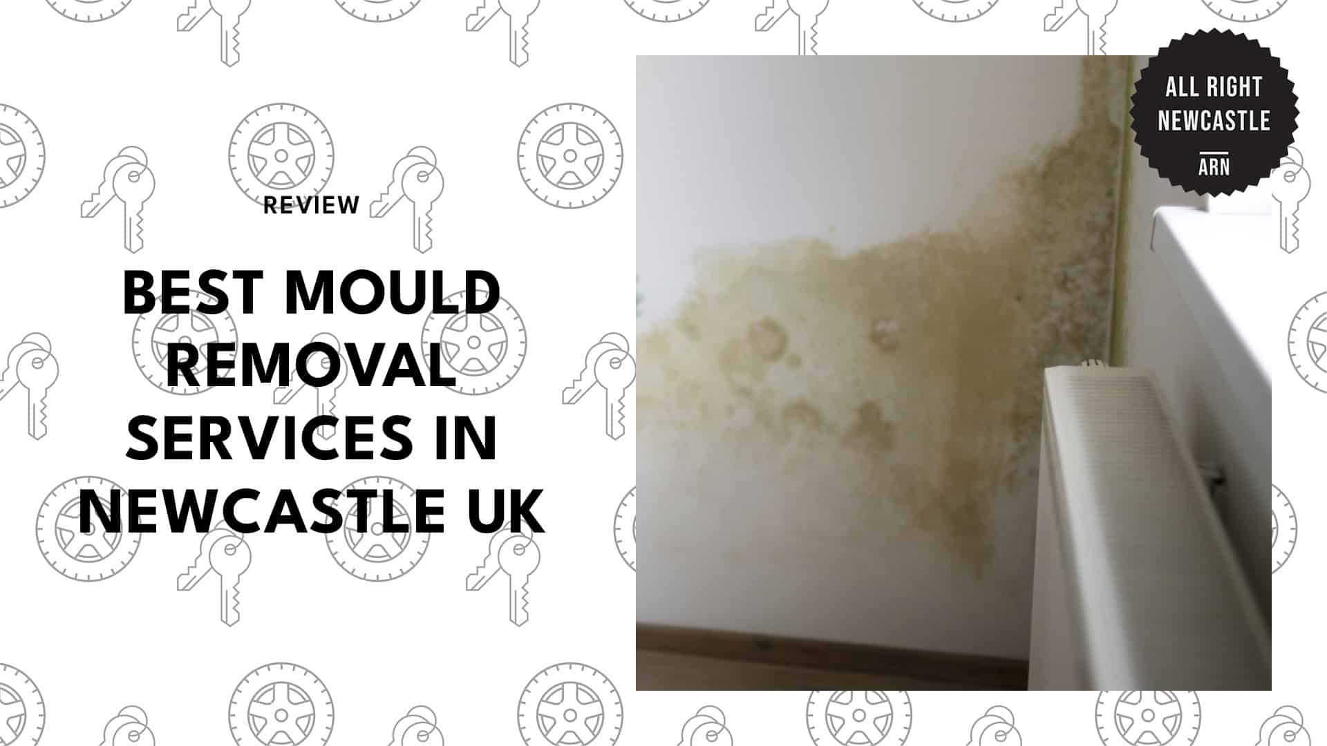 best-mould-removal-newcastle-banner
