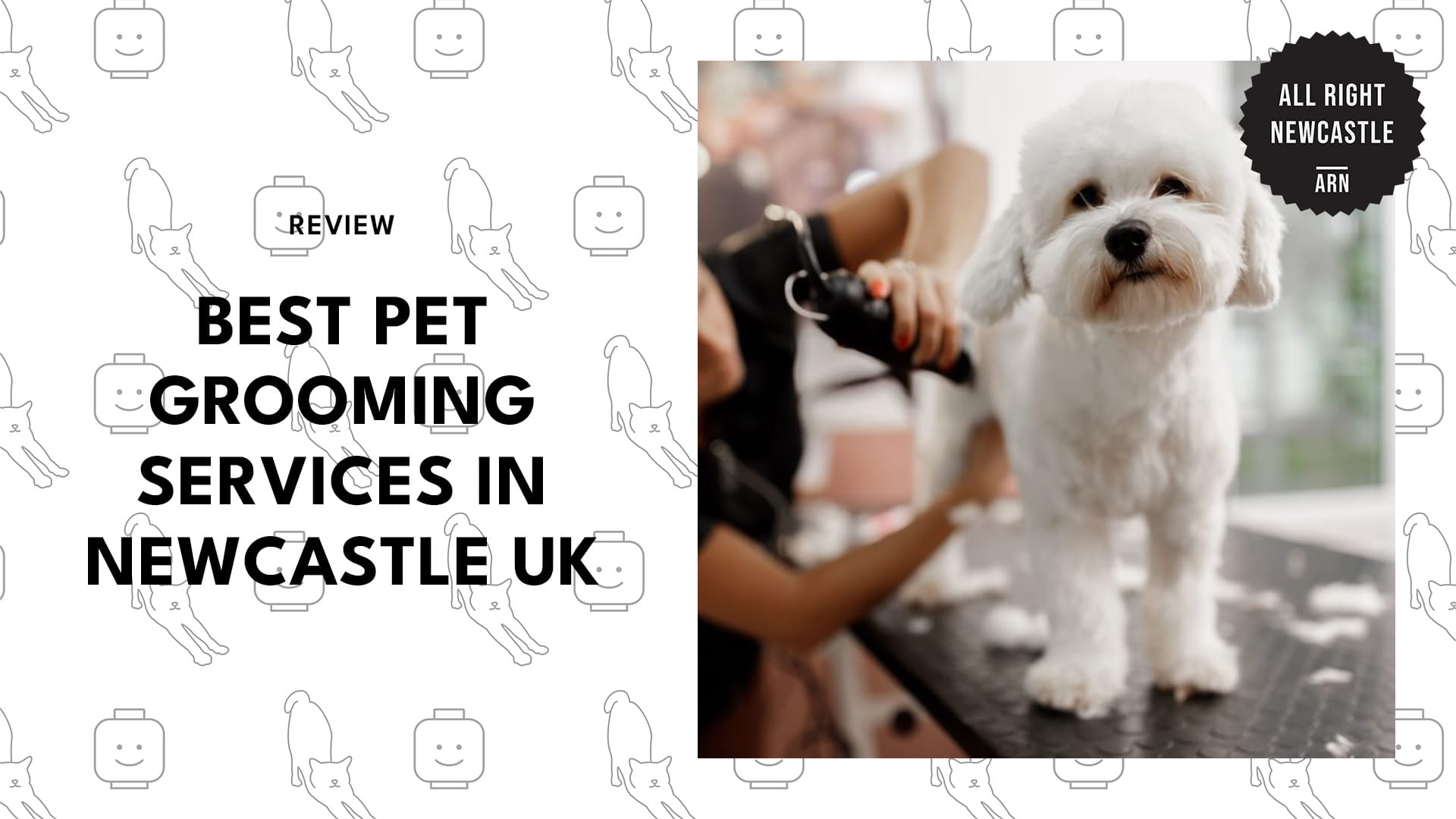 pet-grooming-newcastle-banner