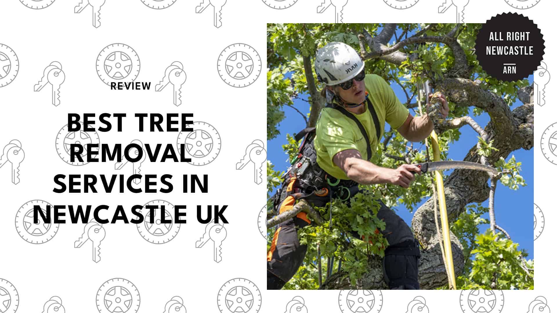 best-tree-removal-newcastle