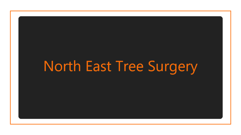 north-east-tree-surgery
