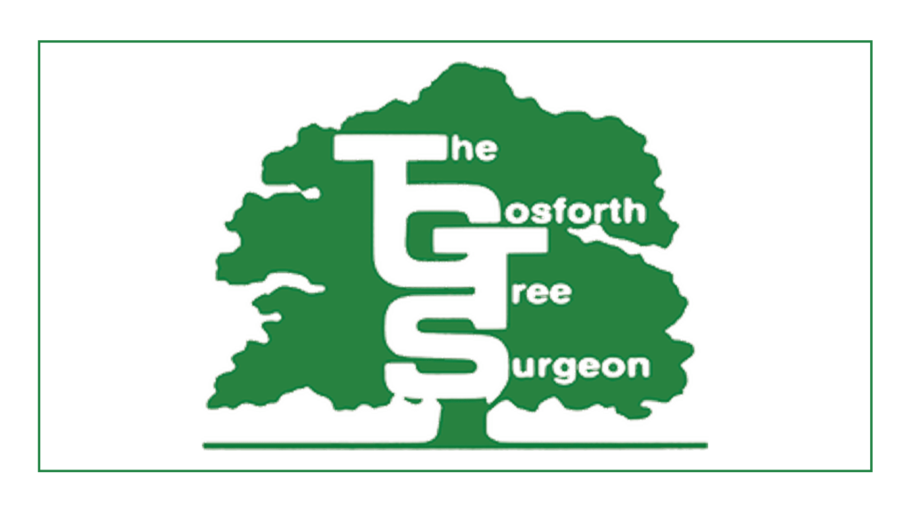 the-gosforth-tree-surgeon