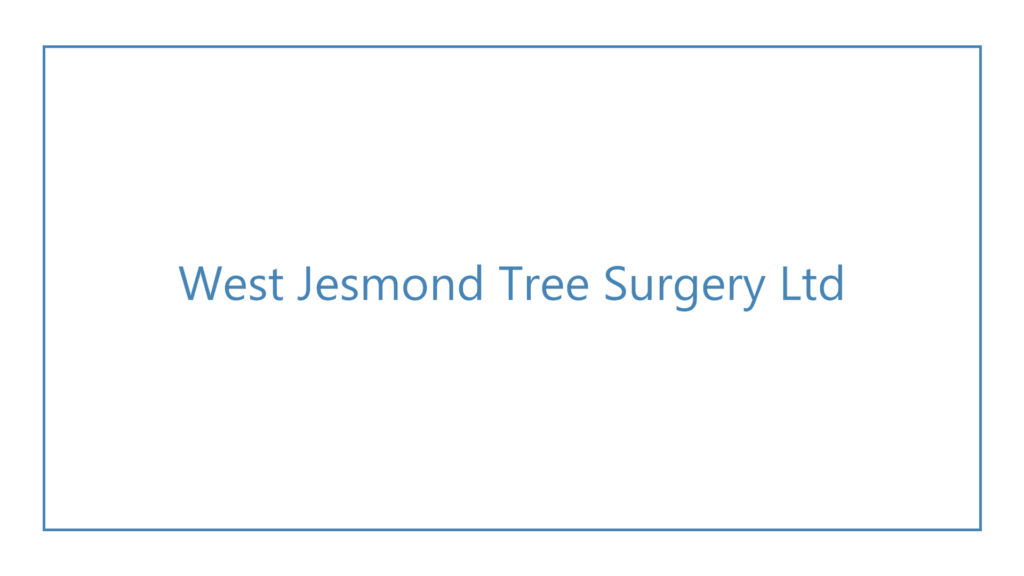west-jesmond-tree-surgery-ltd