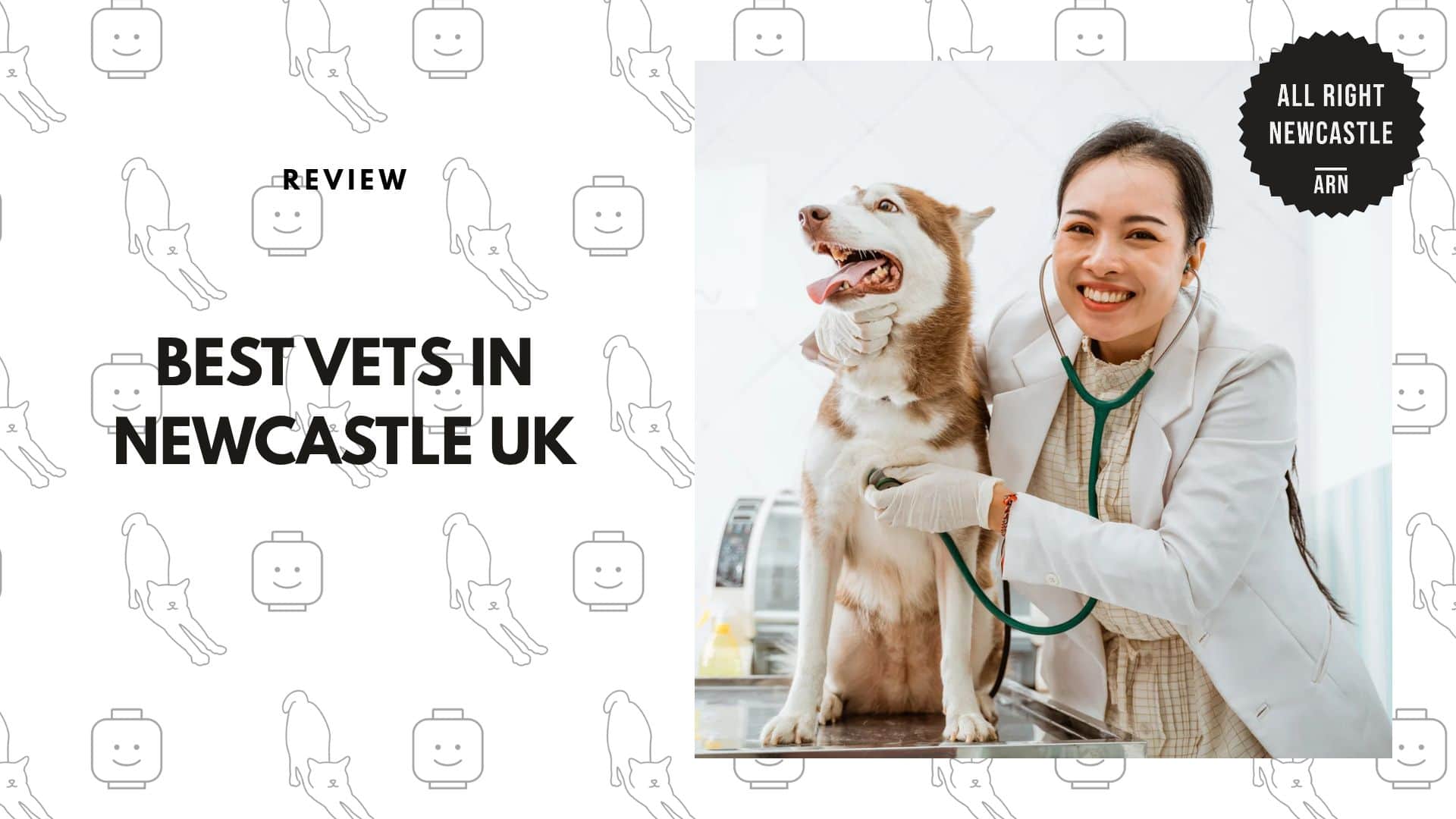 best-vet-newcastle