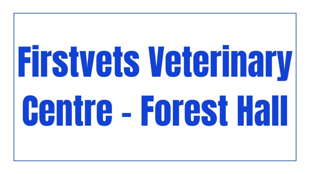 firstvets-veterinary-centre-forest-hall